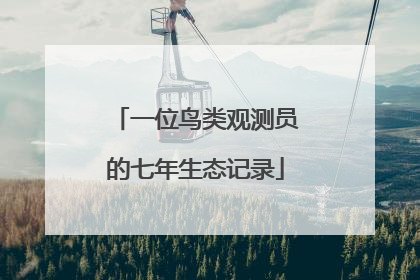 一位鸟类观测员的七年生态记录