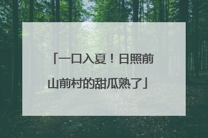一口入夏！日照前山前村的甜瓜熟了