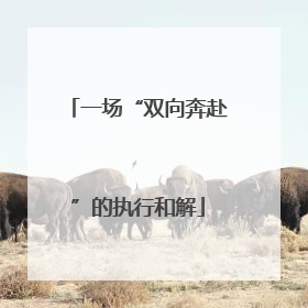 一场“双向奔赴”的执行和解