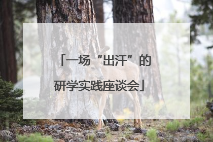 一场“出汗”的研学实践座谈会