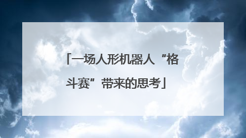 一场人形机器人“格斗赛”带来的思考