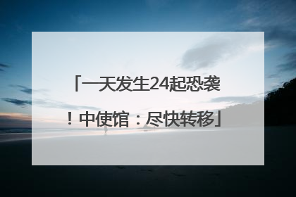 一天发生24起恐袭！中使馆：尽快转移