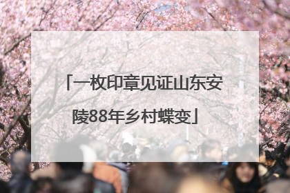 一枚印章见证山东安陵88年乡村蝶变
