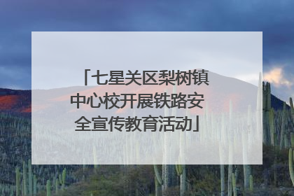 七星关区梨树镇中心校开展铁路安全宣传教育活动
