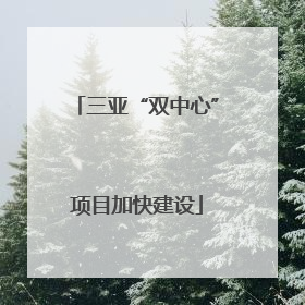 三亚“双中心”项目加快建设