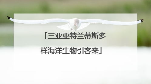 三亚亚特兰蒂斯多样海洋生物引客来
