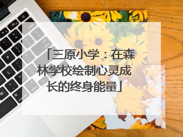 三原小学：在森林学校绘制心灵成长的终身能量