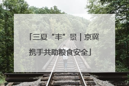 三夏“丰”景｜京冀携手共助粮食安全