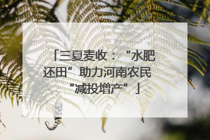 三夏麦收：“水肥还田”助力河南农民“减投增产”