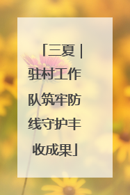 三夏｜驻村工作队筑牢防线守护丰收成果