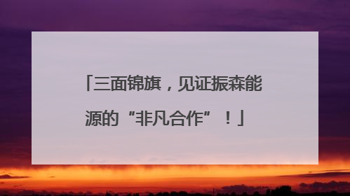 三面锦旗，见证振森能源的“非凡合作”！