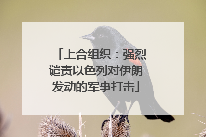 上合组织：强烈谴责以色列对伊朗发动的军事打击