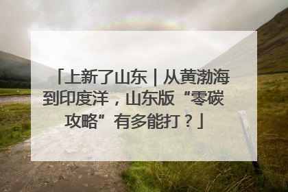 上新了山东｜从黄渤海到印度洋，山东版“零碳攻略”有多能打？