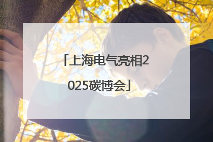上海电气亮相2025碳博会