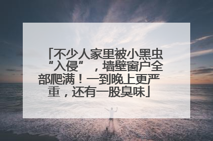 不少人家里被小黑虫“入侵”，墙壁窗户全部爬满！一到晚上更严重，还有一股臭味