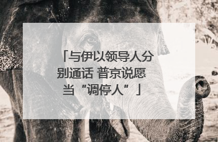 与伊以领导人分别通话 普京说愿当“调停人”