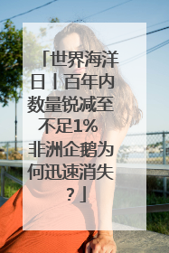 世界海洋日丨百年内数量锐减至不足1% 非洲企鹅为何迅速消失？