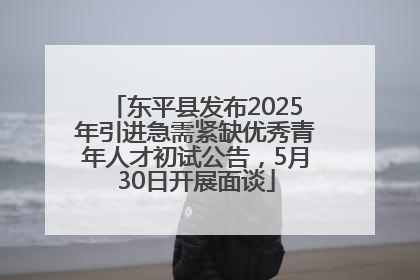 东平县发布2025年引进急需紧缺优秀青年人才初试公告，5月30日开展面谈