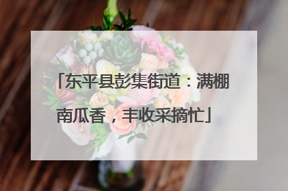 东平县彭集街道：满棚南瓜香，丰收采摘忙