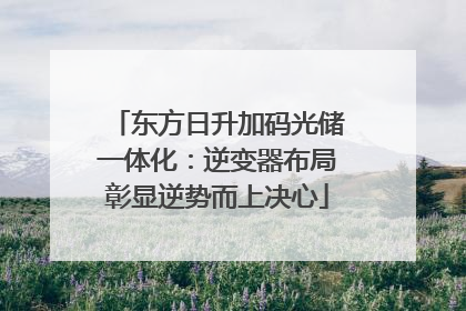 东方日升加码光储一体化：逆变器布局彰显逆势而上决心