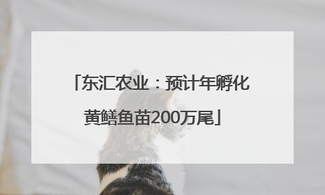 东汇农业：预计年孵化黄鳝鱼苗200万尾