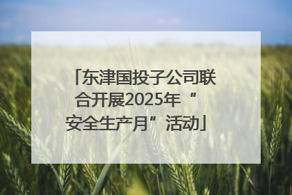 东津国投子公司联合开展2025年“安全生产月”活动