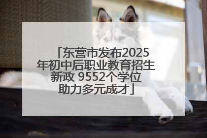 东营市发布2025年初中后职业教育招生新政 9552个学位助力多元成才