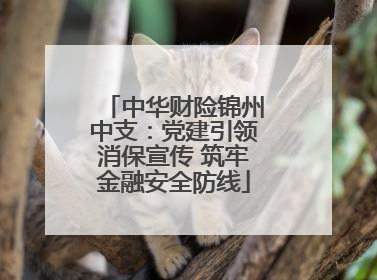 中华财险锦州中支：党建引领消保宣传 筑牢金融安全防线