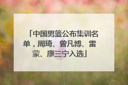 中国男篮公布集训名单，周琦、曾凡博、雷蒙、廖三宁入选