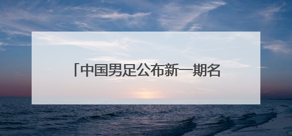 中国男足公布新一期名单武磊伤愈回归 入籍球员杨明洋首次入选