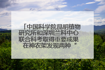 中国科学院昆明植物研究所和深圳兰科中心联合科考取得重要成果 在神农架发现两种“国保”级兰花