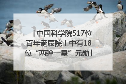 中国科学院517位百年诞辰院士中有18位“两弹一星”元勋