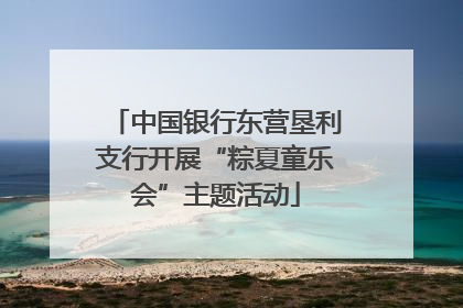 中国银行东营垦利支行开展“粽夏童乐会”主题活动