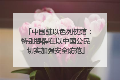 中国驻以色列使馆：特别提醒在以中国公民切实加强安全防范