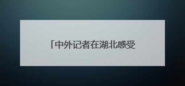 中外记者在湖北感受科技创新澎湃动力