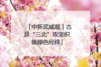 中新武威观｜古浪“三北”攻坚织就绿色经纬
