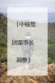 中核集团董事长调整