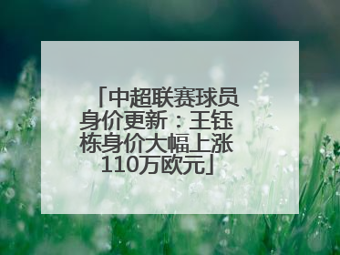 中超联赛球员身价更新：王钰栋身价大幅上涨110万欧元