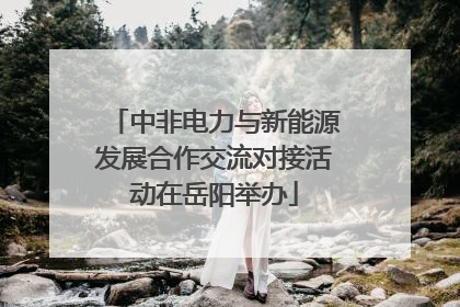中非电力与新能源发展合作交流对接活动在岳阳举办