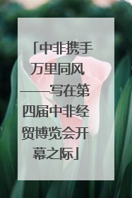 中非携手 万里同风——写在第四届中非经贸博览会开幕之际