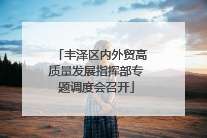 丰泽区内外贸高质量发展指挥部专题调度会召开