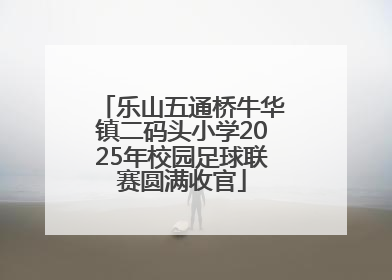 乐山五通桥牛华镇二码头小学2025年校园足球联赛圆满收官