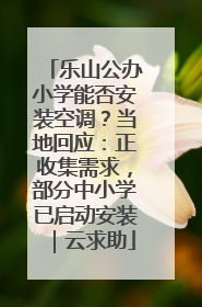 乐山公办小学能否安装空调？当地回应：正收集需求，部分中小学已启动安装｜云求助
