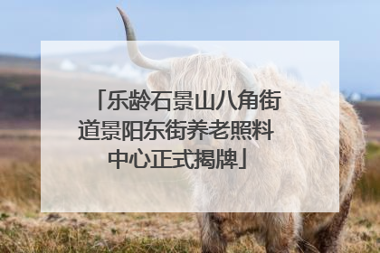 乐龄石景山八角街道景阳东街养老照料中心正式揭牌