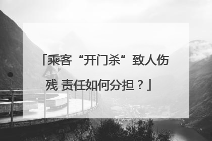 乘客“开门杀”致人伤残 责任如何分担？