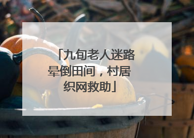 九旬老人迷路晕倒田间，村居织网救助
