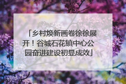 乡村焕新画卷徐徐展开！谷城石花镇中心公园奋进建设初显成效
