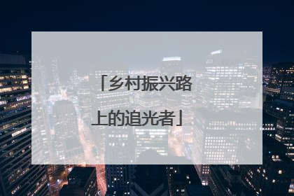 乡村振兴路上的追光者