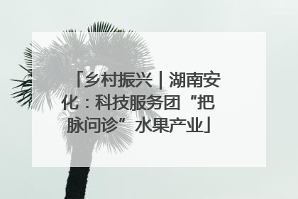乡村振兴｜湖南安化：科技服务团“把脉问诊”水果产业