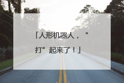人形机器人，“打”起来了！